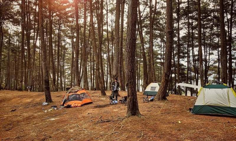 cắm trại trong rừng