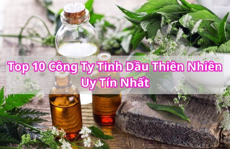 Tổng Hợp 10 Công Ty Tinh Dầu Thiên Nhiên Uy Tín Nhất Trên Thị Trường 2023