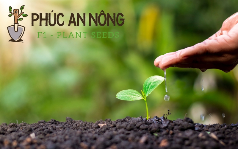 shop hạt giống an phúc nông