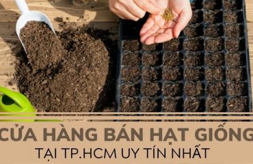 shop hạt giống tphcm