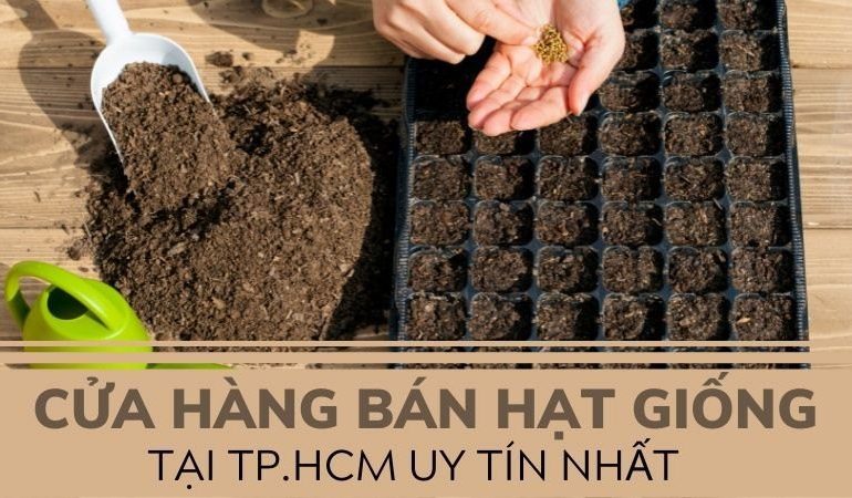 Top 10 Shop Hạt Giống TPHCM Uy Tín Nhất