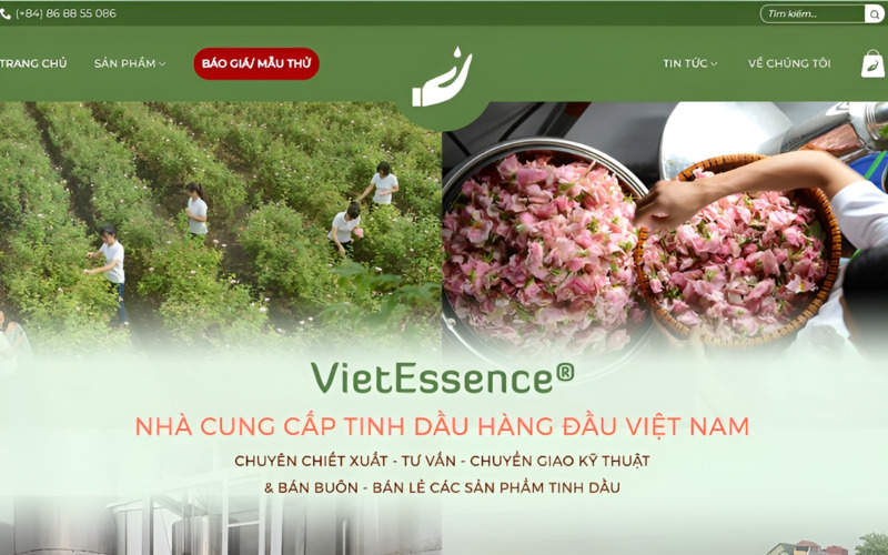 Tinh dầu Vipsen