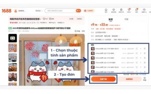 Chọn thuộc tính sản phẩm và đặt hàng