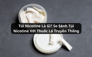 túi nicotine là gì