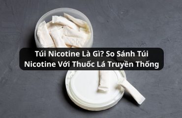 túi nicotine là gì