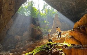 động ngườm ngao